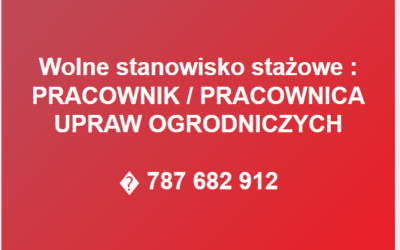 STAŻ ZAWODOWY