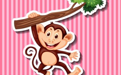 Małpi Gaj 🐒🐒🐒