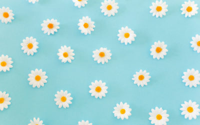 Wiosna pełną parą!