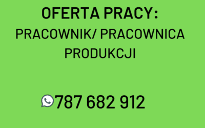 OFERTA PRACY