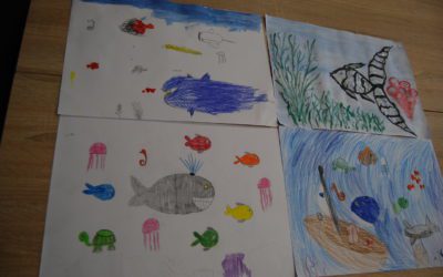 Zajęcia wakacyjne dla dzieci !