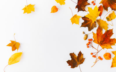 Zajęcia manualne dla dzieci !