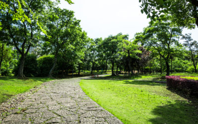 Walentynkowa praca w&nbsp;terenie !