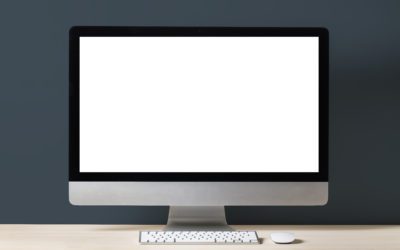 Zajęcia z kompetencji cyfrowych