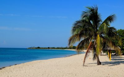 Podróż dookoła świata !