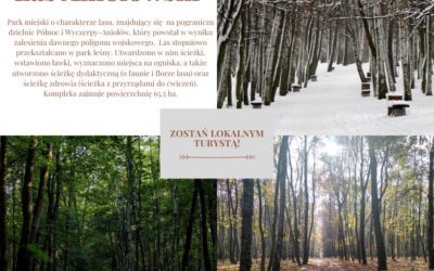 Zostań Lokalnym Turystą