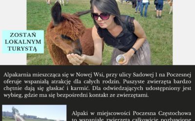 Zostań Lokalnym Turystą